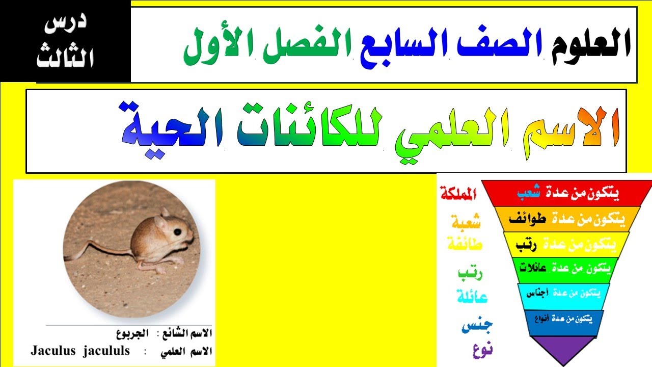 الدرس الثالث ( الاسم العلمي ) للكائنات الحية العلوم الصف السابع الفصل الاول