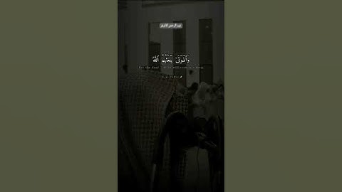 " إِنَّمَا يَسْتَجِيبُ الذِينَ يَسْمَعُون " تلاوة عذبة تريح القلب للشيخ:#محمد_اللحيدان