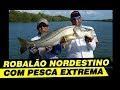 ROBALOS COM PESCA EXTREMA!!! 10 Kg de Robalo nordestino!!