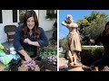 New Houseplants & Staining a Concrete Statue! 🌿🎨// Garden Answer