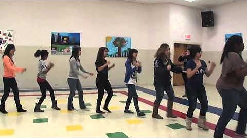 Delta Phi Lambda Midwest Stroll