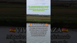 LA TROPA TRANQUILA EN LA MARISMA #caza #hunting #ansar #sialacaza #yosoycazador