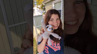 Can you guess my Project #crochet #amigurumi #handmade #sloth