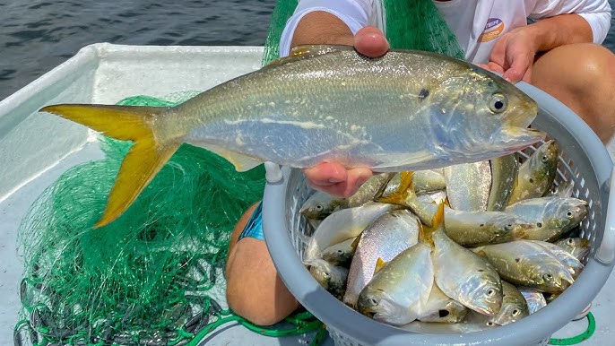 Man casts his bait 300 yards into the Pacific with a homemade air cannon