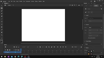 Free transform tool | Adobe Animate