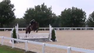 Video of BOSS ridden by TAMARA PROVOST from ShowNet!