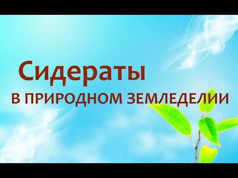 Природное земледелие - Сидераты