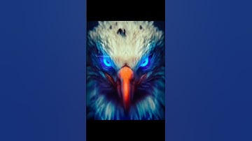 Coast Guard Navik DB GD Yantrik Exam Best Book MAHA PDF 3.0 #coastguard #indiancoastguard #icg