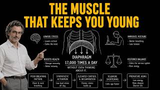 This ONE Muscle Controls How Fast You Age.