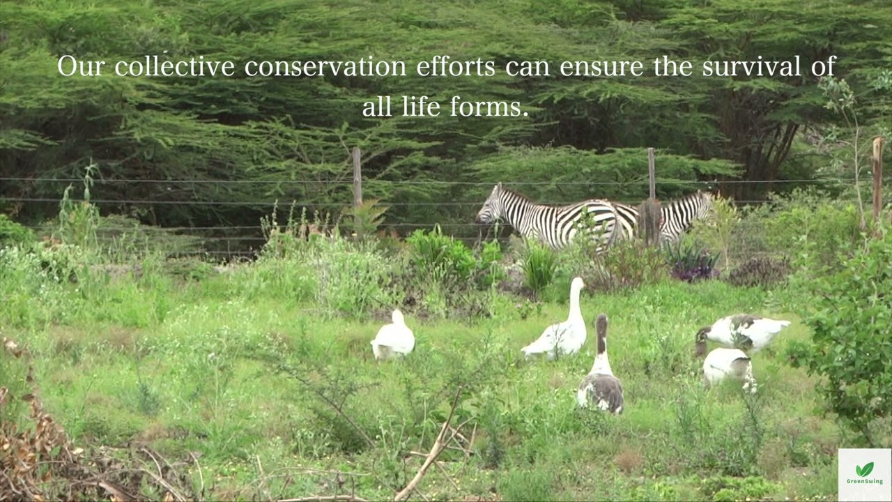 Harmonious Nature #cop15 #biodiversity #relaxation