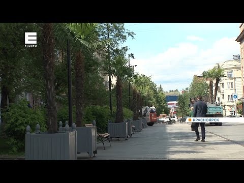 В Красноярске начали
