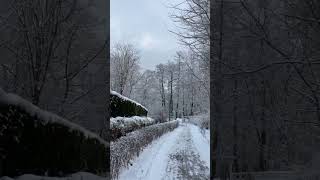 Snowy Coastal Town ASMR ️   #tranquility #shorts #relaxing #asmr