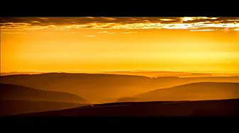EMMIT FENN - YELLOW EMMIT FENN - YELLOW