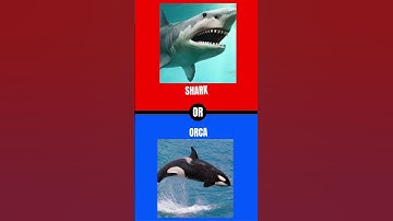 can you decide? comment down below your answers #wouldyourather #challenge #shorts