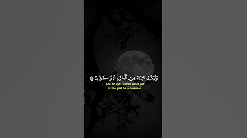 فصبر جميل عسى الله أن يأتيني بهم جميعا | الآية 83 من سورة يوسف 😴🎧