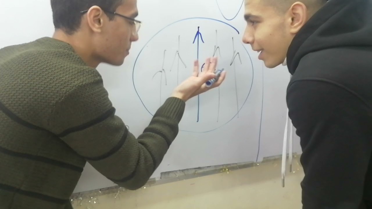 قاعدة فلمنج لليد اليسرى والقوة المغناطيسية المؤثرة علي سلك تالتة ثانوي فيزياء