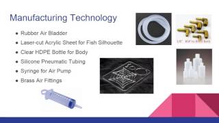 MEM435 Sec 61 Group 8 Fish Buoyancy Proposal