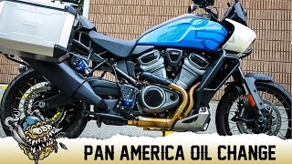 Harley Pan America Oil Change  DeadbeatCustoms.com