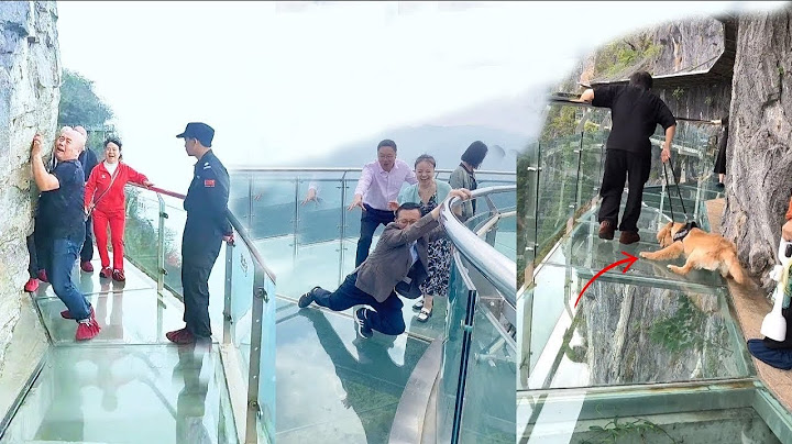 People are terrified to cross glass bridge | Glass bridge crack effect | Glass bridge funny moments