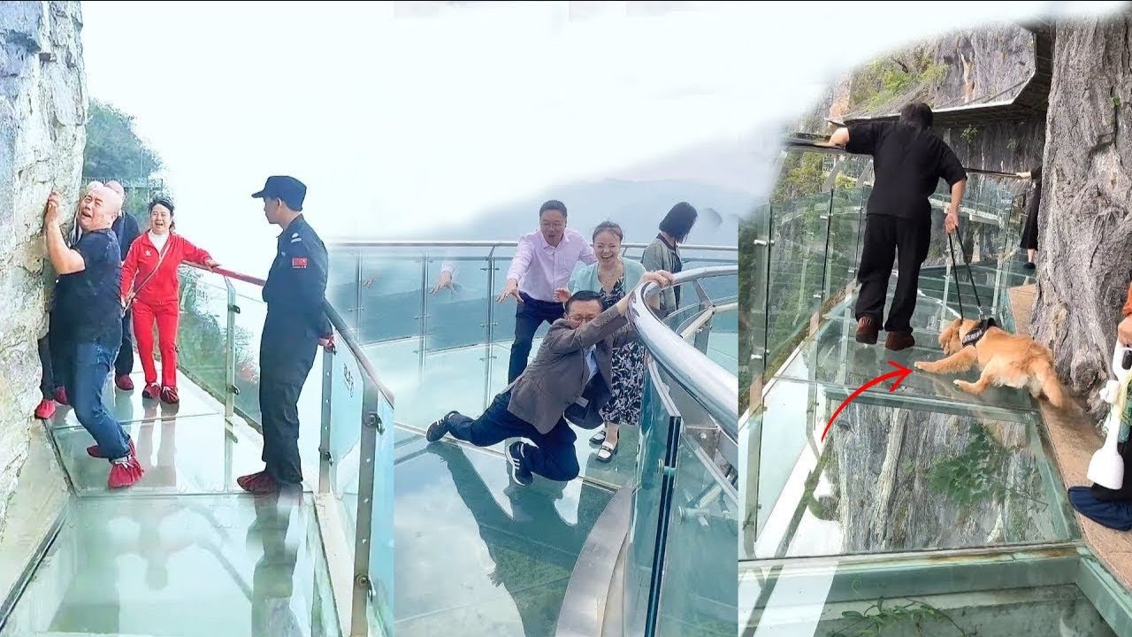 People are terrified to cross glass bridge Glass bridge crack effect