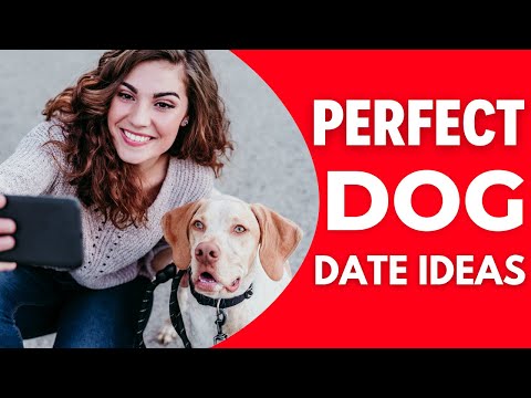 Video: Date Night Ideas for Dog Lovers