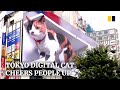 Gigantic 3D cat on Tokyo billboard cheers people up during coronavirus pandemic