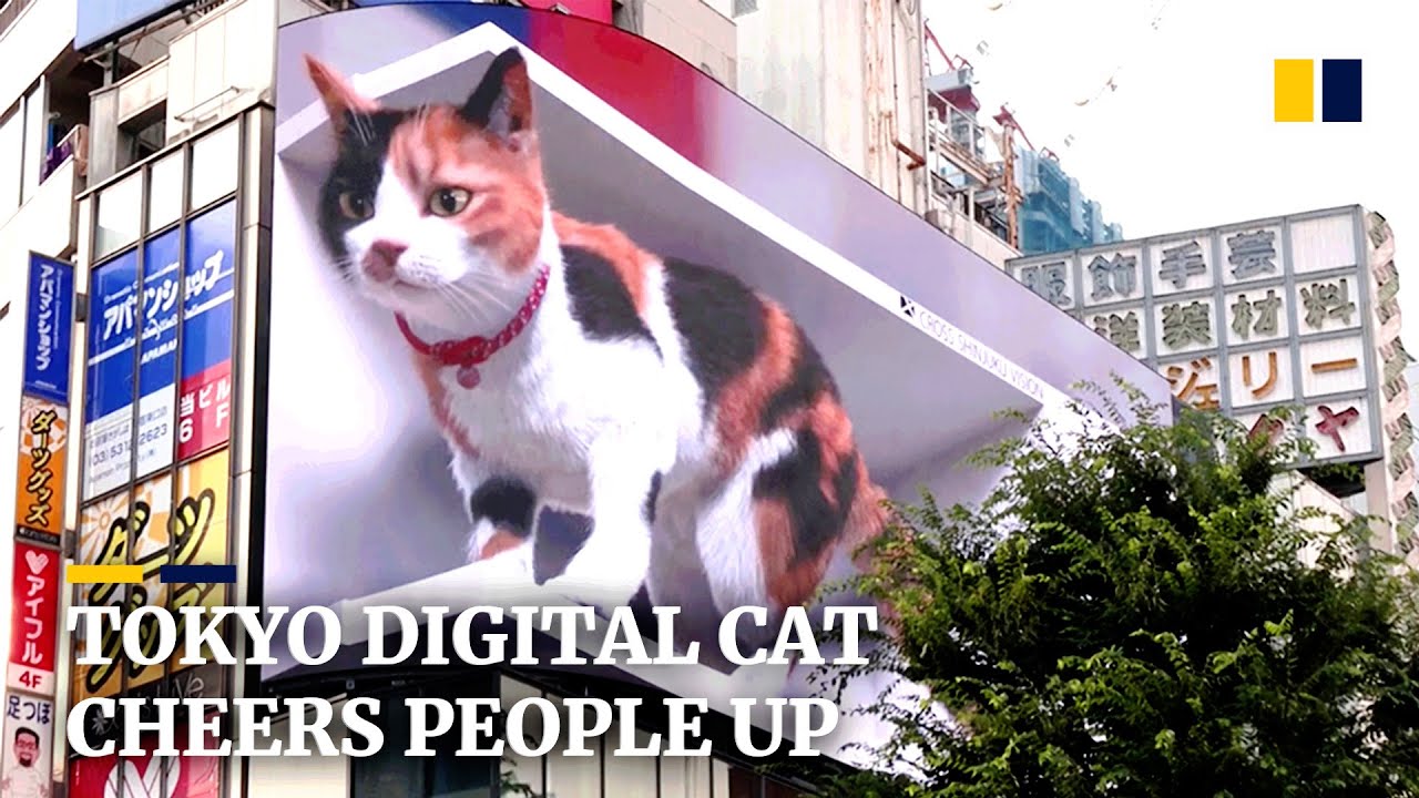 Gigantic 3D cat on Tokyo billboard cheers people up during coronavirus