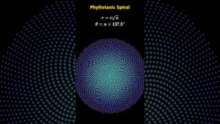 Phyllotaxis Spiral Visual #visualmath #maths #animation #stemlearning #shorts #visualproof