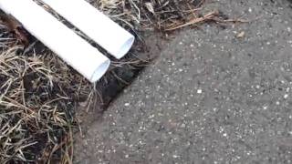 2011-03-12 001.MPG