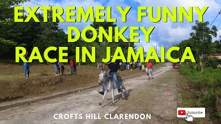 DONKEY RACE IN CROFTS HILL CLARENDON JAMAICA