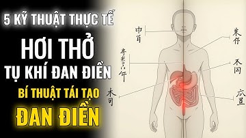 Hơi Thở Tụ Khí Đan Điền: 5 Cách Đơn Giản Tái Tạo Đan Điền - Lưu Thông Khí Huyết & Kéo Dài Tuổi Thọ