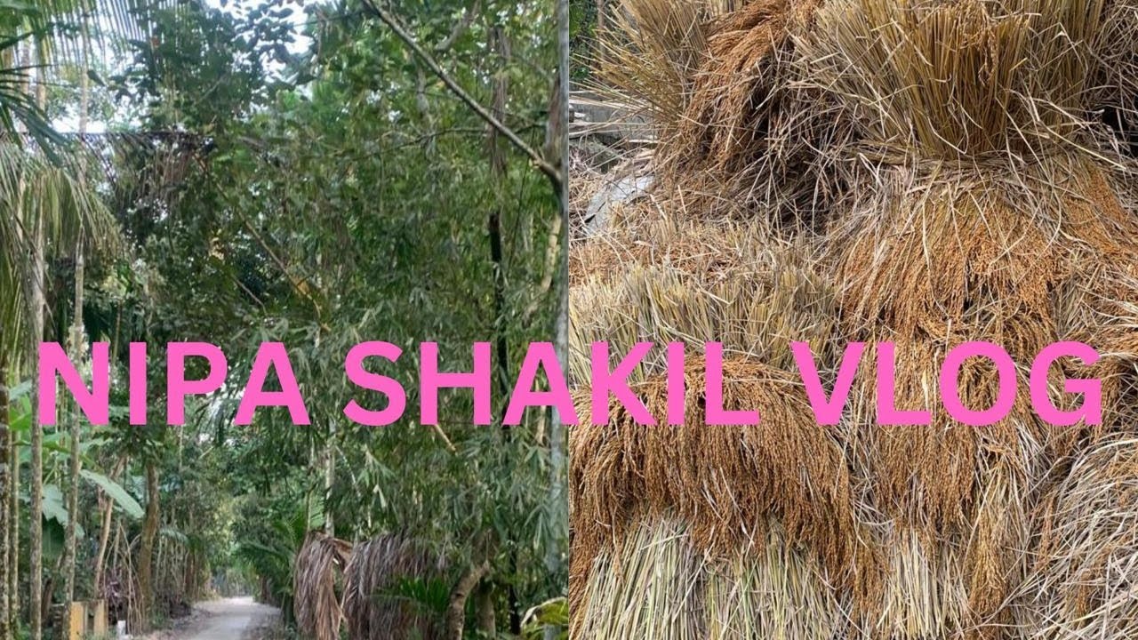 আম্মুকে নিয়ে গ্রামে এসেছি (নিপা সাকিল ব্লগ)