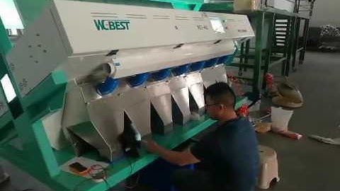 WEBEST Brand Intelligent CCD color sorter of second sorting for lentil.