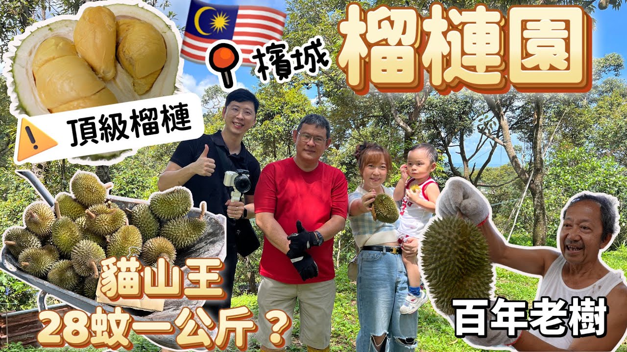 【43 Переезд в Малайзию🇲🇾】Самый дешевый король Мусанг на Пенанге? 28 ринггитов за