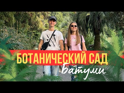 Ботанический сад Батуми. Фестиваль фруктов в Грузии 2023. Пробуем мандарины с дерева.