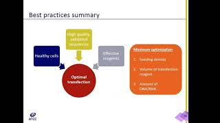 How to select the right reagents for your transfection experiment