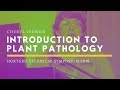 Cheryl Lennox—Introduction to Plant Pathology and Plant Diseases