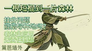 一根短棍到一片森林：挂谷问题能指导种地吗？农林业应用畅想