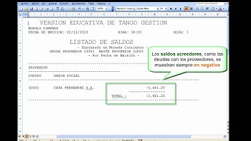 COMPRAS Video 6   Emisión de informes