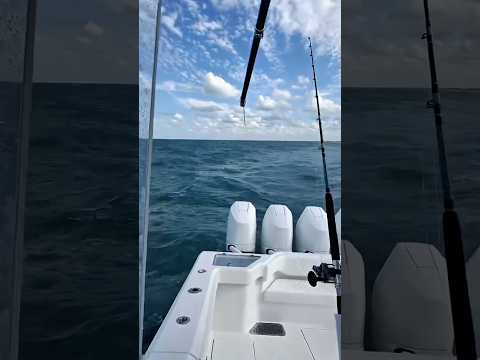 Test Driving at New Front Runner 39