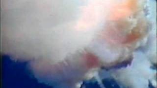 CBS News Live Coverage of The Challenger Disaster Part 1