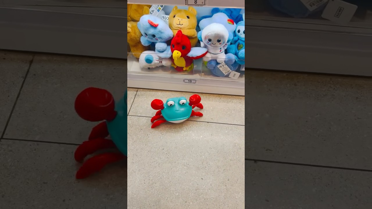 Enter ALE-HOP and discover the most authentic and fun products, and enjoy a new experience 🌋🏝️