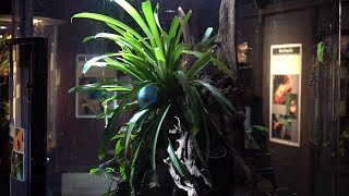 Easter egg hunt at aquarium in Scranton