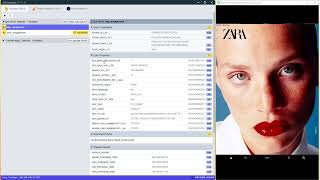 iOS/Android Debugger - [iOS] - Setup and Features.