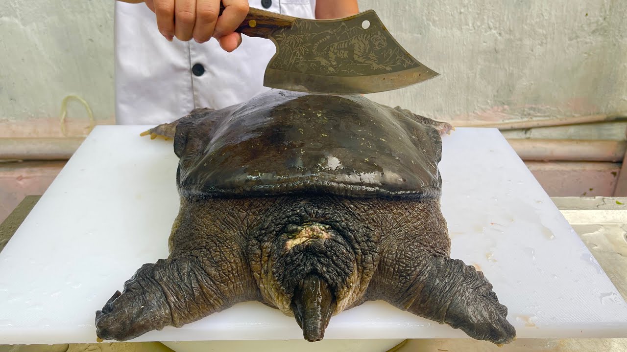 best turtle meat recipe // Vn Chef - YouTube