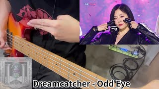 Dreamcatcher - Odd Eye, Bass cover ベース弾いてみた