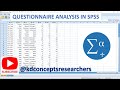 Questionnaire Analysis in SPSS