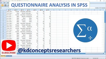 Questionnaire Analysis in SPSS