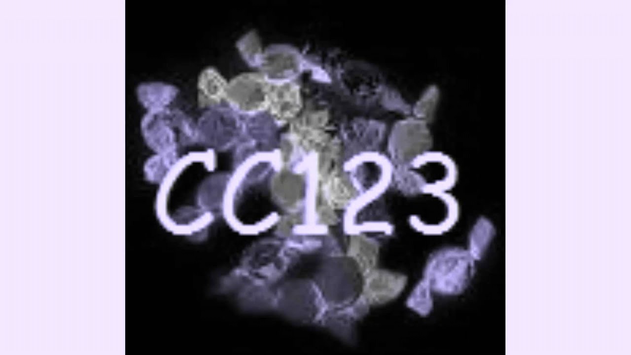 CC123 intro