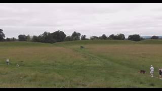 I Return to the Mysterious 2700 BC Belfast Giants Ring with Neolithic Blogger Daniel Krkpatrick
The Giants Ring is a henge monument at Ballynahatty, near Shaws Bridge, Belfast, Northern Ireland. The site is a State Care Historic Monument and also a Site of Special Scientific Interest.
The site consists of a circular enclosure, 180 m (590 ft) in diameter and 2.8 hectares (6.9 acres) in area, surrounded by a circular earthwork bank 3.5 m (11 ft) high. At least three of the five irregularly spaced gaps in the bank are intentional and possibly original. East of the centre of the enclosure is a small passage tomb with a vestigial passage facing west. There were reports of other tombs outside the enclosure.
A wall to protect the site was constructed under the supervision of local landowner Arthur Hill-Trevor, 3rd Viscount Dungannon in 1837. An inscribed stone tablet on the wall surrounding the site, which details Viscount Dungannons interest, was carved by Belfast stone-carver Charles A Thompson c. 1919.
It is believed that the Giants Ring dates from the Neolithic period and was built around 2700 BC, before the Egyptian pyramids. The site has had some sort of public use throughout its history. It is near the Shaws Bridge crossing of the River Lagan, a point which has been used as a crossing of the river since at least the Stone Age.
It is generally assumed that the tomb structure in the centre is earlier than the ring and that the earthwork enclosure was created afterwards, perhaps as a function of activities that took place there. Substantial effort over many years would have been needed to construct this earthworks.
The original purpose of the monument is unknown but it has often been hypothesised that it meeting place or as a memorial to the dead. Over time the usage may well have changed so it impossible to ascribe a single defined usage to such a site.
Archaeologist Michael J. OKelly believed that the Giants Ring, like hundreds of other passage tombs built in Ireland during the Neolithic period, such as Newgrange, showed evidence for a religion which venerated the dead as one of its core principles. He believed that this cult of the dead was just one particular form of European Neolithic religion, and that other megalithic monuments displayed evidence for different religious beliefs which were solar, rather than death-orientated.
In the 18th century, the site was used for horse racing. A ritual site adjacent to the henge was excavated in the early 1990s by Barrie Hartwell of the Queens University of Belfast who has published a comprehensive and thorough account of the site, the many excavations and possible original usages of the wider Ballynahatty townland in which the Giants Ring is situated. I Return to the Mysterious 2700 BC Belfast Giants Ring with Neolithic Blogger Daniel Krkpatrick